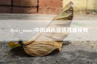 河间中国消防现场直播视频