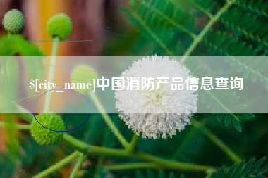 河间中国消防产品信息查询