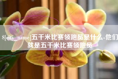 河间五千米比赛领跑员是什么-他们就是五千米比赛领跑员