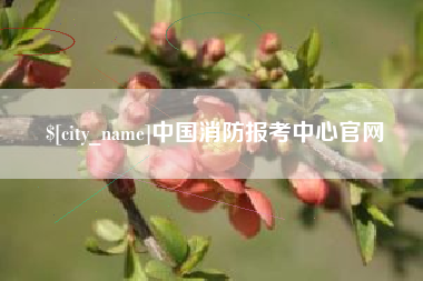 河间中国消防报考中心官网