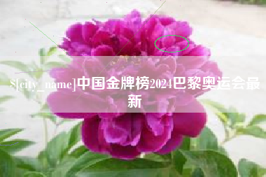 河间中国金牌榜2024巴黎奥运会最新