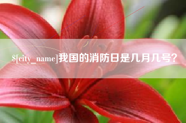 河间我国的消防日是几月几号？