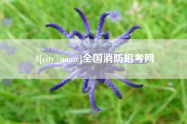 河间全国消防招考网