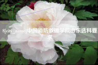 河间中国消防救援学院山东选科要求