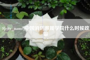 河间中国消防救援学院什么时候政审