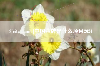河间中国金牌是什么项目2024