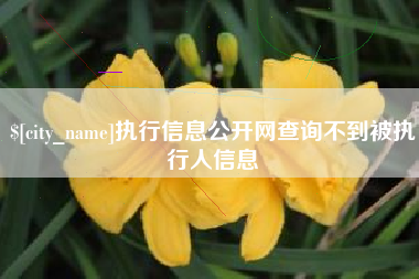 河间执行信息公开网查询不到被执行人信息