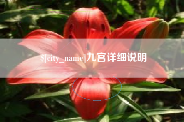 河间九宫详细说明