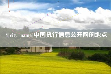 河间中国执行信息公开网的地点