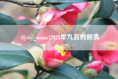 河间2021年九宫对照表