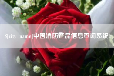 河间中国消防产品信息查询系统1