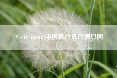 河间中国执行执行信息网
