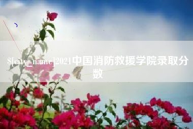 河间2021中国消防救援学院录取分数
