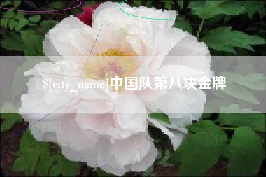 河间中国队第八块金牌
