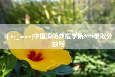 河间中国消防救援学院2021录取分数线