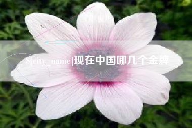 河间现在中国哪几个金牌