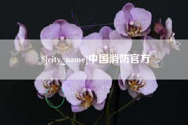 河间中国消防官方