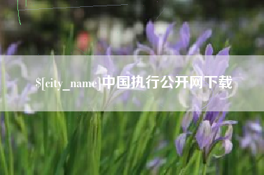 河间中国执行公开网下载