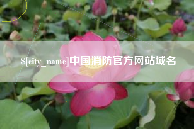 河间中国消防官方网站域名