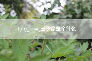 河间王子豪是个什么