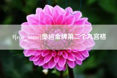 河间奥运金牌第二个九宫格