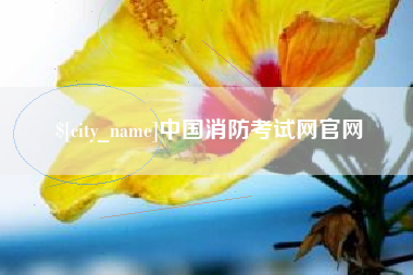 河间中国消防考试网官网