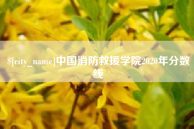 河间中国消防救援学院2020年分数线