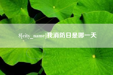 河间我消防日是哪一天
