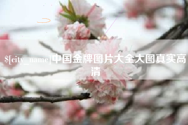 河间中国金牌图片大全大图真实高清