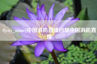 河间中国消防直播回放中国消防直播
