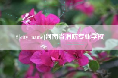 河间河南省消防专业学校