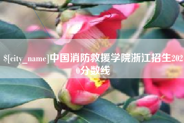河间中国消防救援学院浙江招生2020分数线