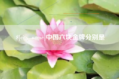 河间中国六块金牌分别是
