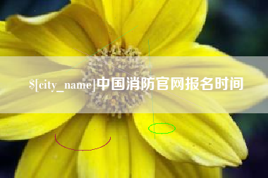 河间中国消防官网报名时间