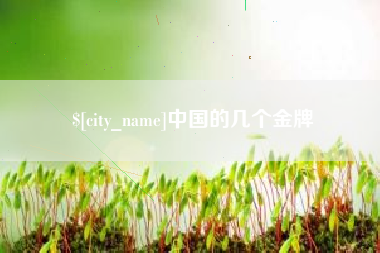 河间中国的几个金牌