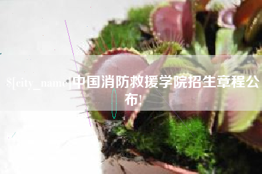 河间中国消防救援学院招生章程公布!