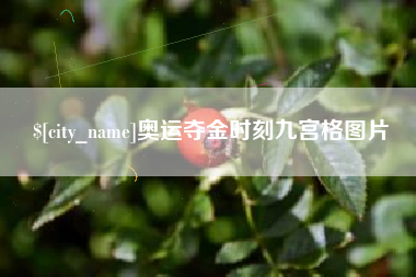 河间奥运夺金时刻九宫格图片