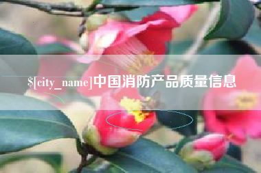 河间中国消防产品质量信息