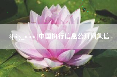 河间中国执行信息公开网失信