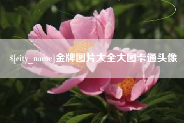 河间金牌图片大全大图卡通头像