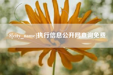 河间执行信息公开网查询免费