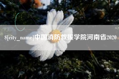 河间中国消防救援学院河南省2020